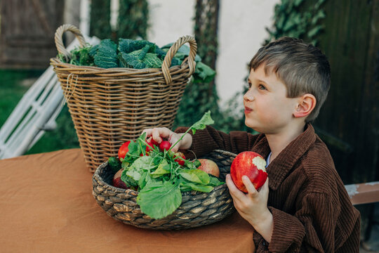 Boy eating fresh organic apple from vintage wicker basket in back yard