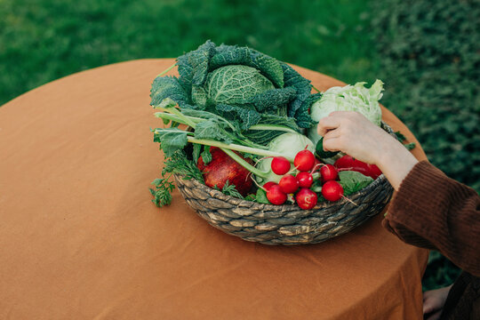 Hand of boy taking vegetables from vintage wicker basket at table in backyard