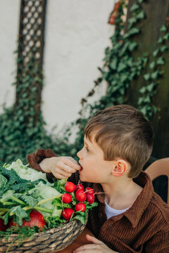 Boy eating organic vegetable from vintage wicker basket in back yard