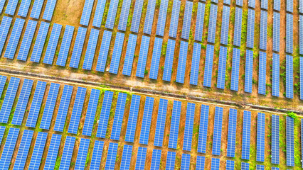 Solar farm spans a field, panels in precise rows optimized for solar energy conversion, dramatically cutting carbon footprints.
 - obrazy, fototapety, plakaty