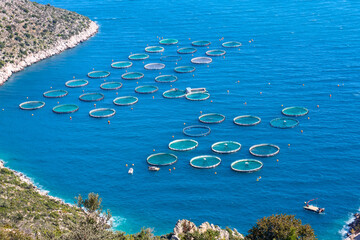 fish farm with floating cages in Greece