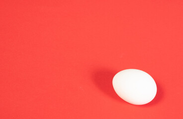 One white chicken egg on red background close-up