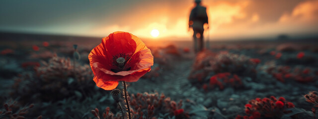Macro shot of a poppy in the foreground with a silhouette soldier walking away in the background, representing the continuous journey despite loss, high-resolution - obrazy, fototapety, plakaty