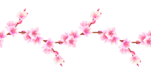 Branches with sakura, peach, apple tree flowers. Hand drawn watercolor botanical illustration. Seamless banner, pattern. border on white background. For design, textile, wallpaper, wrapping paper