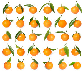Whole ripe tangerines with leaves isolated on white, set