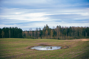 Spring landscape with forest trees and blue cloudy sky in Latvia