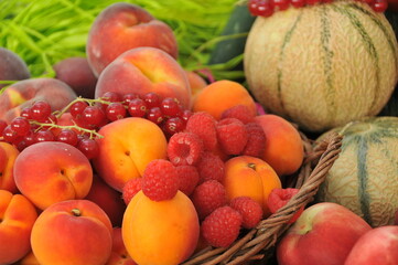 Fruits d'été