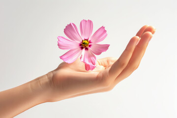 Tender female hand presenting bright pink flower with white background, symbolizing femininity and simplicity. Concept of tenderness and care. Ideal for Mother's Day, beauty and women's health