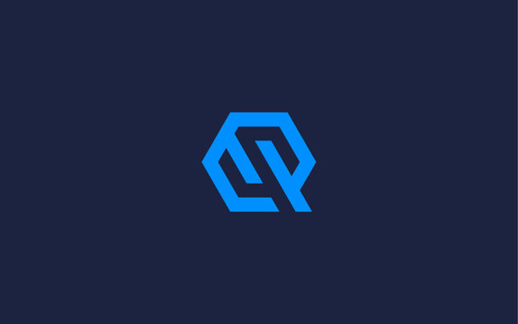 letter qs with hexagon logo icon design vector design template inspiration