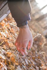 Slender female arm on the yellow foliage in the forest with sunlight. - 791434987