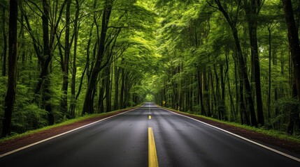 Fototapeta premium Front view of a road leading through a thriving green landscape, promoting the importance of sustainable travel in forest conservation