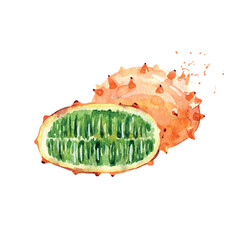 Hand Drawn Watercolor kiwano Fruit. Vector illustration.