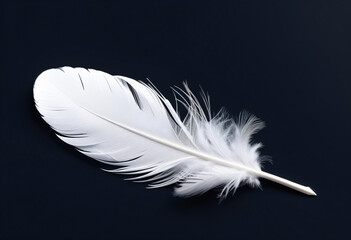 White feathers on a black background