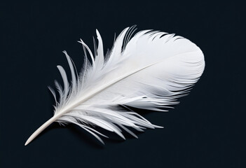 White feathers on a black background