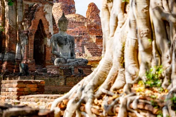 Fotobehang Ayutthaya historical park, Thailand  © ttinu