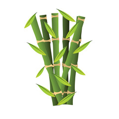 Bamboo icon vector