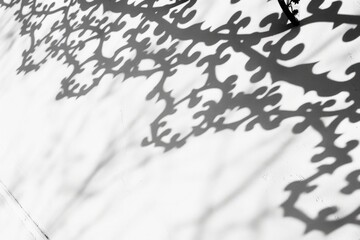 Fototapeta premium Soft shadows of leaves on a white wall, excellent for minimalist design and natural aesthetics.. shadow pattern on white background