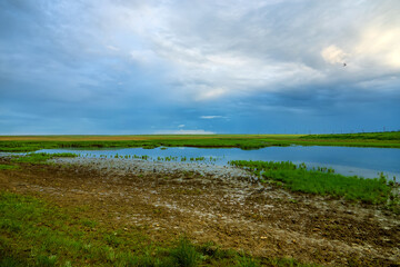 Steppe Saucer, Small depression in steppe an brackish lake with salty water and marsh vegetation