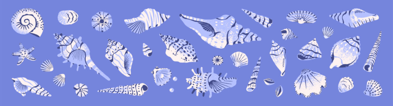 Exotic seashells set. Various ocean cockleshells: florida conch, cowrie, scallop, nautilus, whelks, mollusk with pearls. Patterned sea shells with different shapes. Flat isolated vector illustration