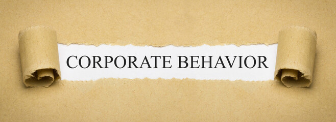Corporate Behaviour
