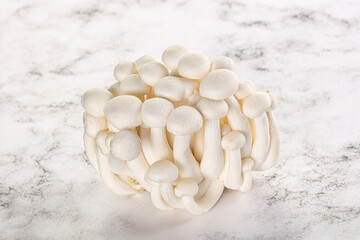 Japanese Shimeji mushroom for cooking