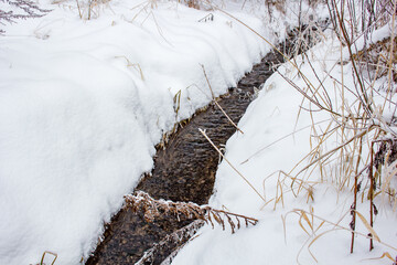 A small stream in the middle of the field in winter