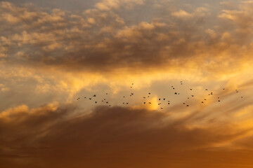 beautiful multicolored sky at sunset
