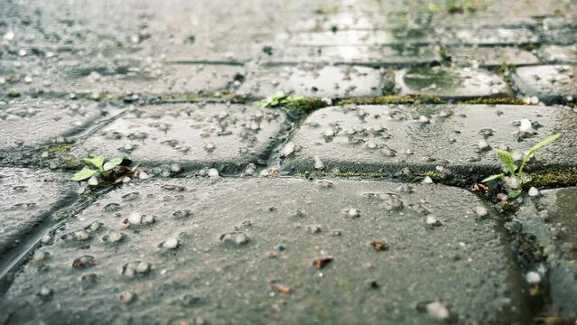 Hail falls on the cobblestA large number of ice pieces of hail fall on the concrete pavement in the city. Vertical video. High quality 4k footage
