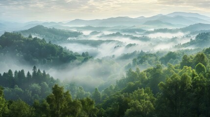 Obraz premium Beautiful misty mountain landscape with forest in the foreground