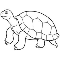 tortoise