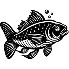 fish on a white background