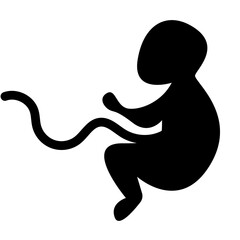 
Silhouette of embryo child.