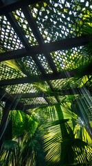 Sunlight filters through a patterned greenhouse roof, casting a dappled light over the verdant tropical leaves inside