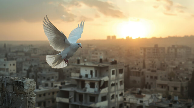 A white dove flies over a city at sunset