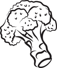 Hand-drawn broccoli icon, vegetable doodles