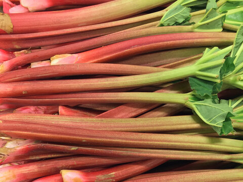 Close-up of a heap of organic cultivated red rhubarb stalks ready for sale at farmers market in spring.