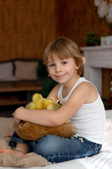 Happy beautiful child, kid, playing with small beautiful ducklings or goslings,, cute fluffy animal birds - 791473731