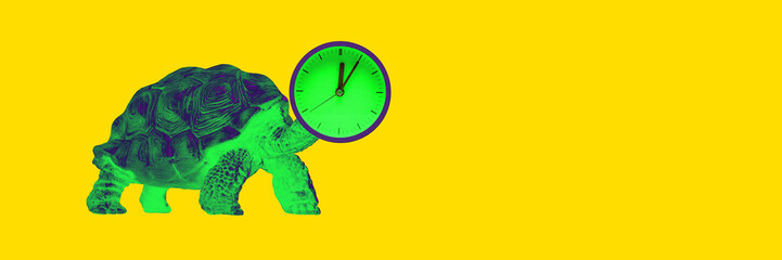 Green sea turtle with clock head on yellow background. Contemporary art collage. Time management,...