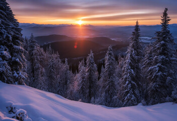 Dreamlike sunset in the Black Forest