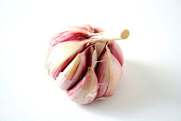 A head of purple garlic from Spain on a white background...