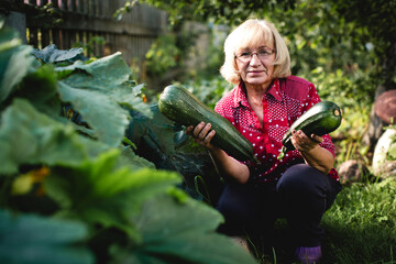 In the garden, the woman holds freshly picked zucchinis, her smile radiating satisfaction amidst lush greenery.
