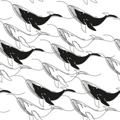 Black whale in one line art style on isolated white background seamless pattern. Vector illustration - 791487547