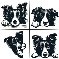 PEEKING BORDER COLLIE Svg, Peeking Border Collie Clipart, Peeking Border Collie Dog Svg Files For Cricut
