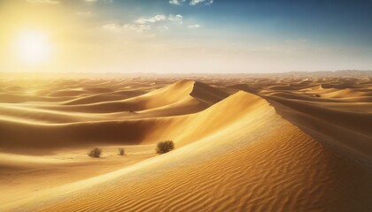 Naklejka premium Sunset In The Sahara Desert Desert