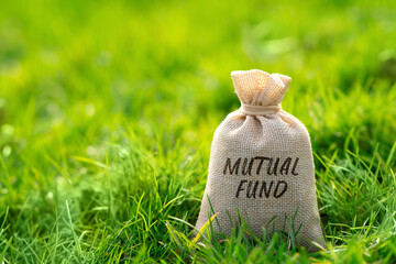 Mutual fund in a money bag. Portfolio of stocks, bonds, or other securities purchased with the pooled capital of investors. Business and finance concept