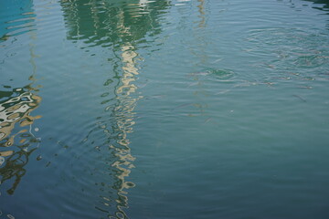 Fishes swimming close to a beach. Moving surface reflection azure green
