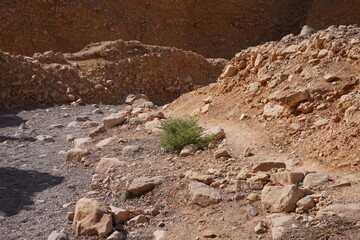 The dried up river bed - the path to the Red Canyon, in the national reserve - the Red Canyon ,...