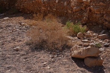 The dried up river bed - the path to the Red Canyon, in the national reserve - the Red Canyon , near Eilat, in southern Israel