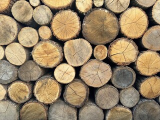 Round timber in a stack, blanks from chopped tree trunks. Background texture - stacked firewood prepared for winter. Wall of firewood, background of dry chopped firewood.