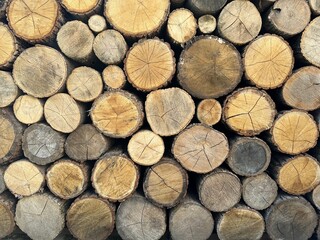 Round timber in a stack, blanks from chopped tree trunks. Background texture - stacked firewood...